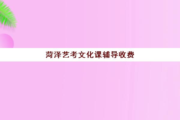 菏泽艺考文化课辅导收费(艺考生文化课培训辅导)