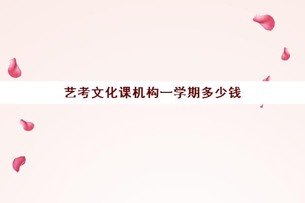 艺考文化课机构一学期多少钱(艺考生文化课分数线)