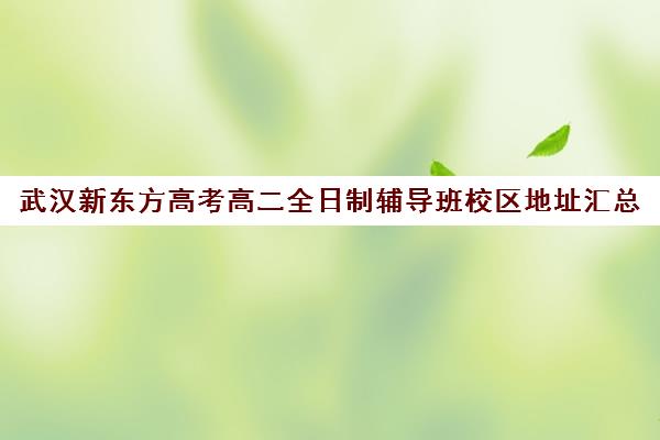 武汉新东方高考高二全日制辅导班校区地址汇总(新东方武汉校区有哪些)