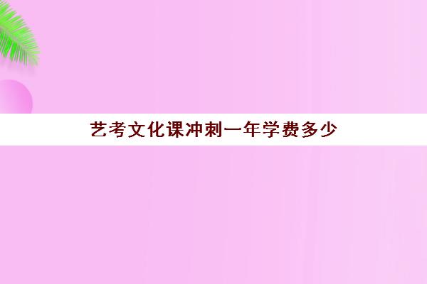 艺考文化课冲刺一年学费多少(高三艺考生文化课集训多少钱)