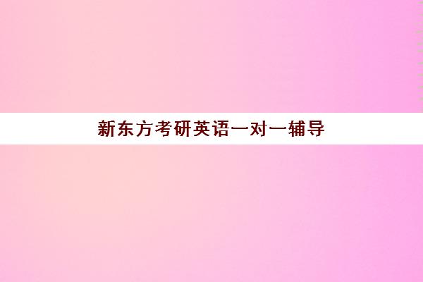 新东方考研英语一对一辅导(新东方优能一对一怎样)