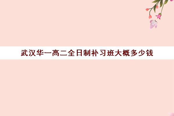 武汉华一高二全日制补习班大概多少钱