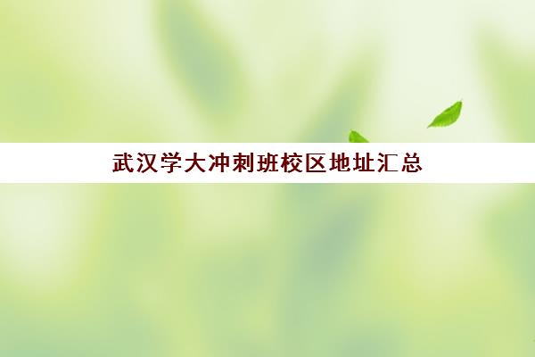 武汉学大冲刺班校区地址汇总(武汉比较好的辅导机构)