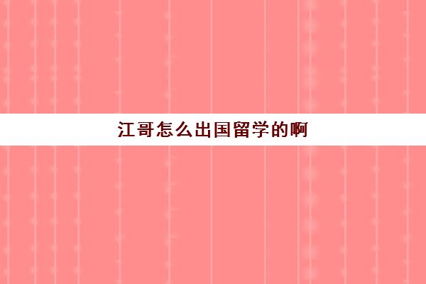 江哥怎么出国留学的啊(江歌是独生女吗)