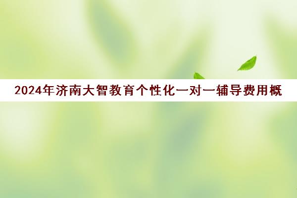 2024年济南大智教育个性化一对一辅导费用概览