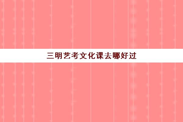 三明艺考文化课去哪好过(三明职高有哪些学校)