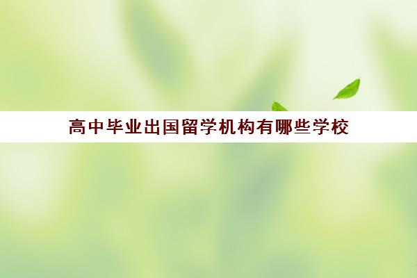 高中毕业出国留学机构有哪些学校(普高怎么申请国外大学)