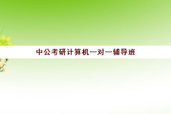 中公考研计算机一对一辅导班(中公考研一对一怎么样)