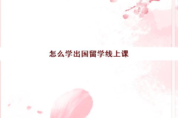 怎么学出国留学线上课(国外留学上网课不承认怎么办)