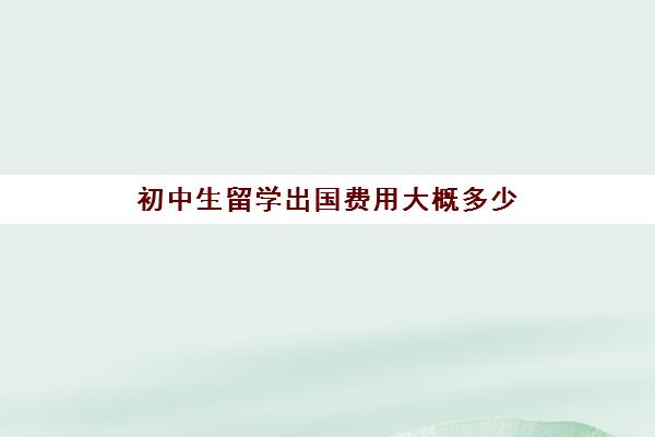 初中生留学出国费用大概多少(出国留学哪里比较便宜)