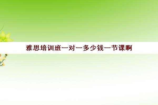 雅思培训班一对一多少钱一节课啊(雅思的培训机构都有啥)