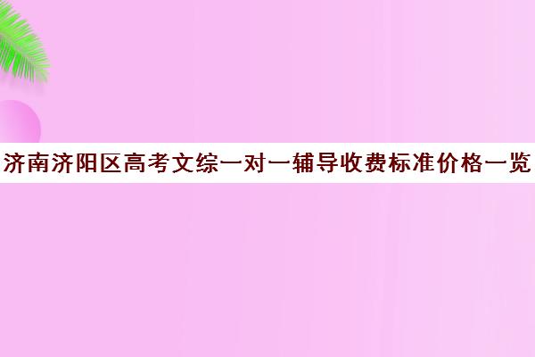 济南济阳区高考文综一对一辅导收费标准价格一览(济南最好的高中正规培训机构)