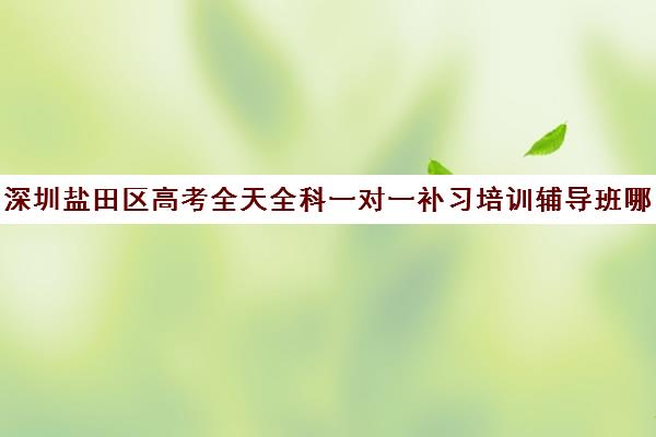 深圳盐田区高考全天全科一对一补习培训辅导班哪个好