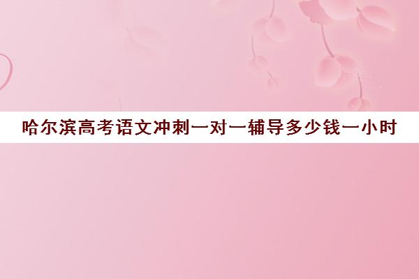 哈尔滨高考语文冲刺一对一辅导多少钱一小时(哈尔滨补课机构哪家好)