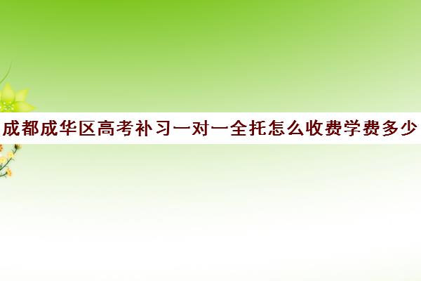 成都成华区高考补习一对一全托怎么收费学费多少钱