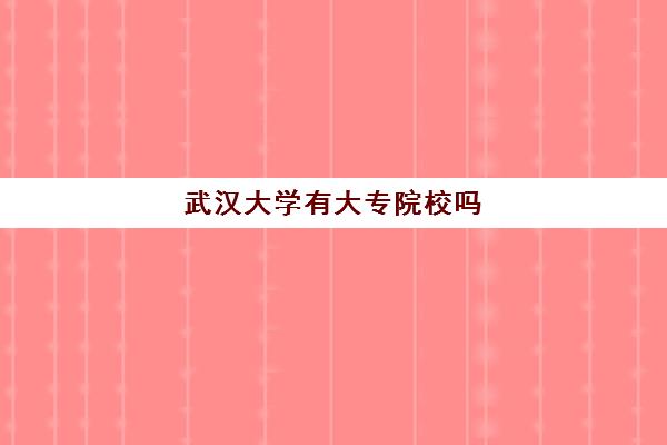 武汉大学有大专院校吗(武汉有什么大专)