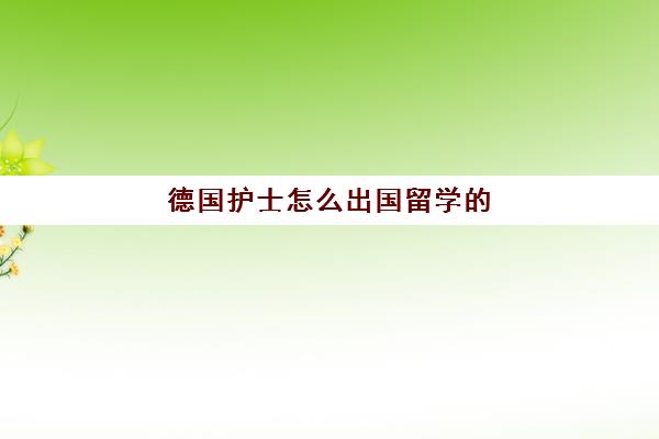 德国护士怎么出国留学的(德国留学回国就业前景)