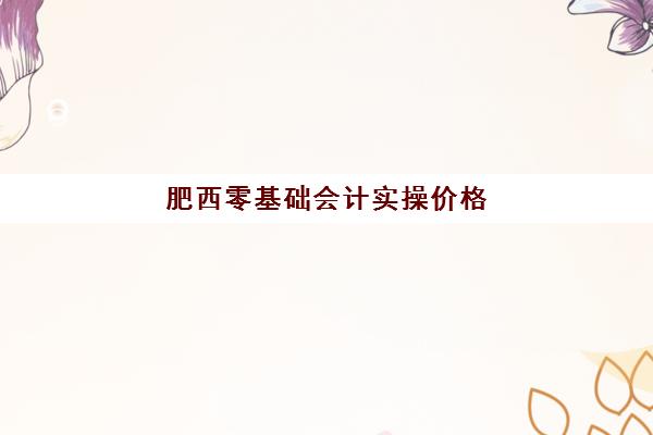 肥西零基础会计实操价格(初级会计零基础怎么学)