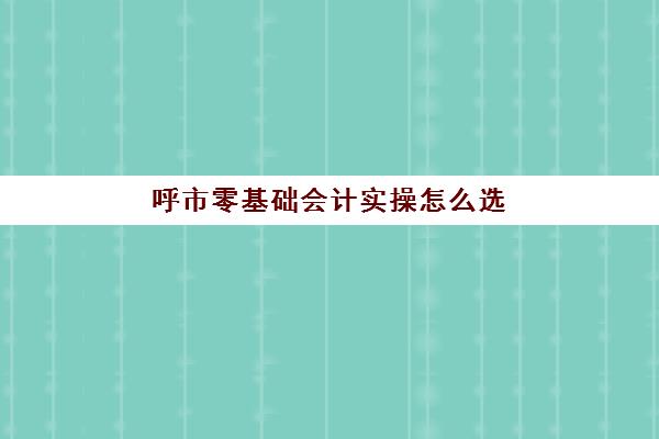 呼市零基础会计实操怎么选(自学会计该怎么入手)