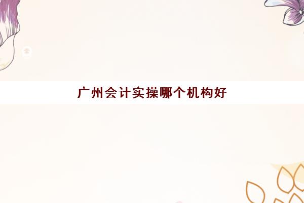 广州会计实操哪个机构好(会计网校哪个比较好)