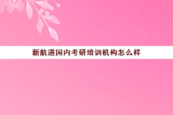 新航道国内考研培训机构怎么样(新东方和新航道哪个好区别是什么)