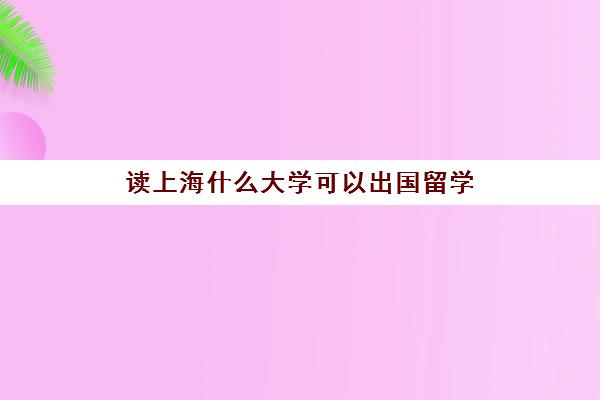 读上海什么大学可以出国留学(出国留学还是国内读大学)