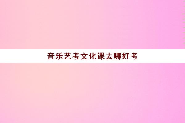 音乐艺考文化课去哪好考(钢琴艺考文化课分数线)