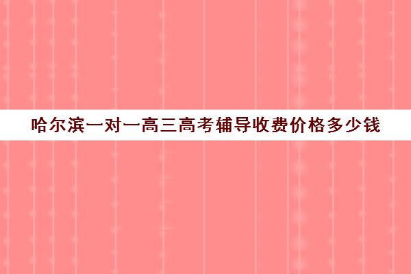 哈尔滨一对一高三高考辅导收费价格多少钱(哈尔滨一对一辅导排名)