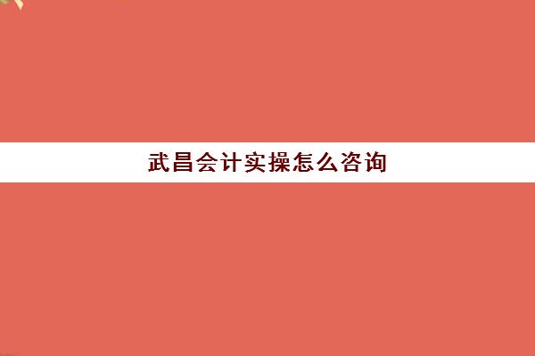 武昌会计实操怎么咨询(武汉仁和会计培训学校地址)