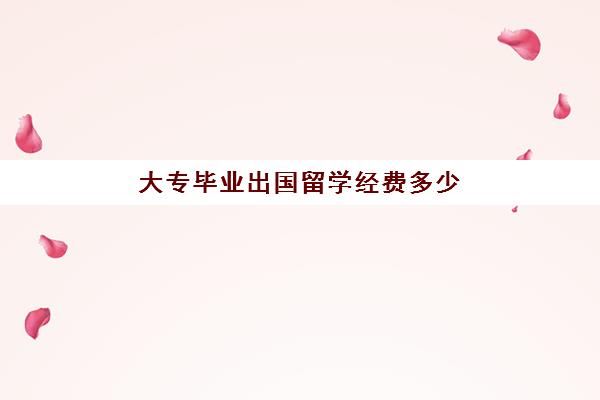 大专毕业出国留学经费多少(三年国内大专一年出国本科)