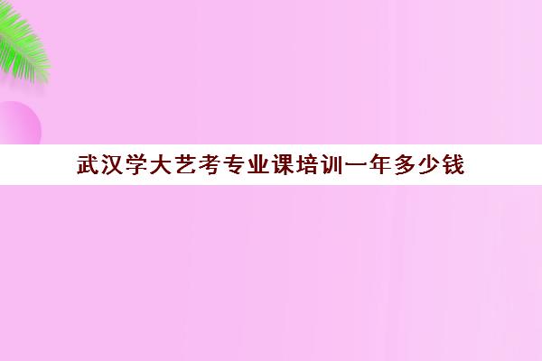 武汉学大艺考专业课培训一年多少钱(武汉最好的艺考培训)