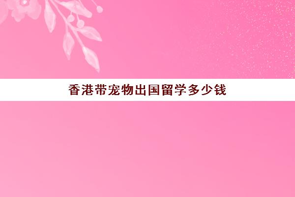 香港带宠物出国留学多少钱(去香港读一年硕士要花多少钱)