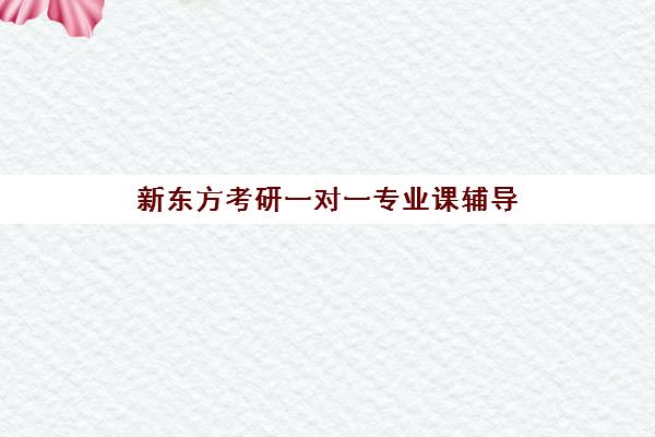 新东方考研一对一专业课辅导(大学课程一对一辅导)