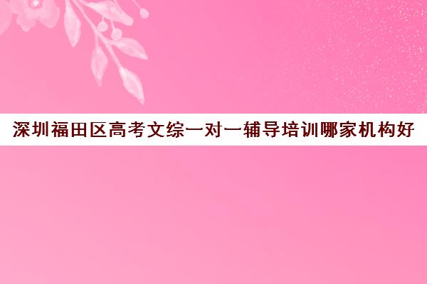 深圳福田区高考文综一对一辅导培训哪家机构好(一对一补初中文综价格)