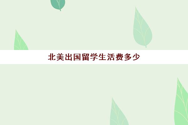 北美出国留学生活费多少(美国留学一年30万够吗)