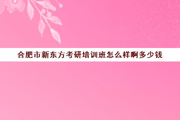 合肥市新东方考研培训班怎么样啊多少钱(新东方考研全程班咋样)