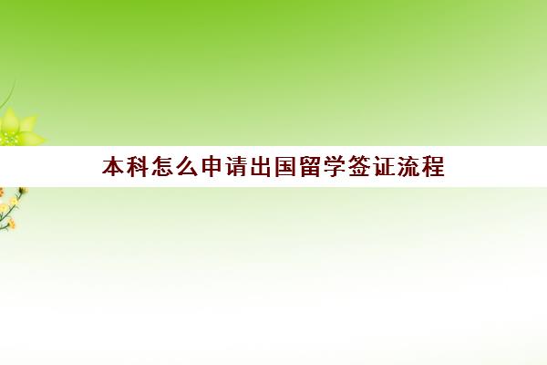 本科怎么申请出国留学签证流程(不是本科能办签证吗)