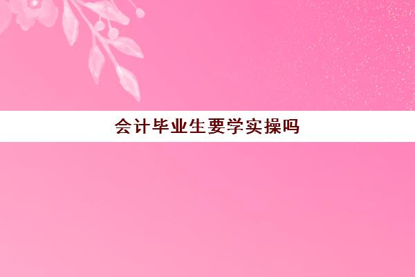 会计毕业生要学实操吗(会计专业毕业了还什么都不会怎么办)