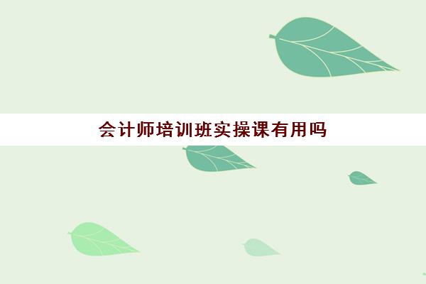 会计师培训班实操课有用吗(会计考证培训班哪个机构比较好)