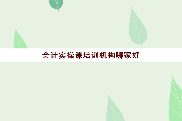 会计实操课培训机构哪家好(会计有专门的培训班吗)