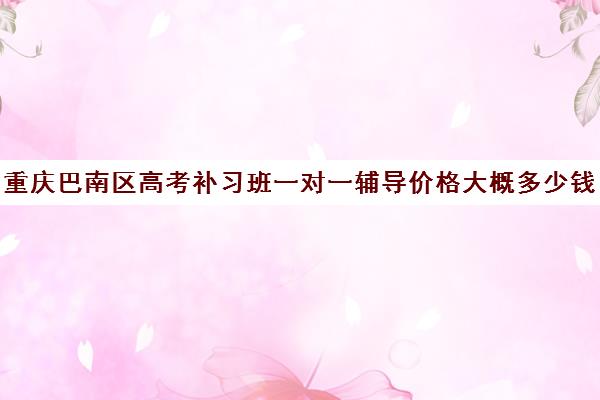 重庆巴南区高考补习班一对一辅导价格大概多少钱