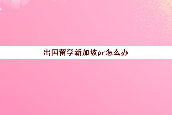 出国留学新加坡pr怎么办(新加坡pr每年要呆多久)