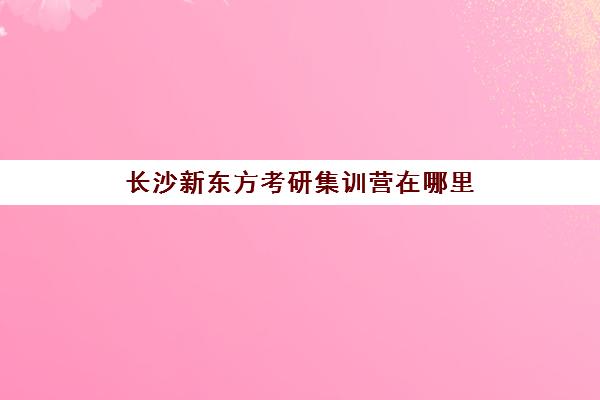 长沙新东方考研集训营在哪里(考研新东方还是文都好)