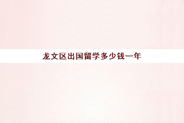 龙文区出国留学多少钱一年(公派留学一年要多少钱)