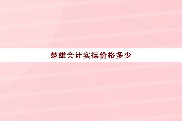 楚雄会计实操价格多少(昆明会计培训机构排名前十)