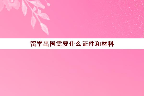 留学出国需要什么证件和材料(办护照要带什么材料)