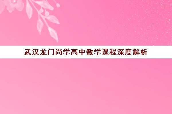 武汉龙门尚学高中数学课程深度解析