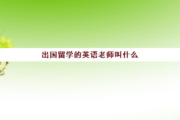 出国留学的英语老师叫什么(留学生怎么回国当老师)