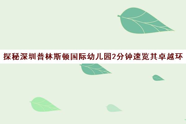 探秘深圳普林斯顿国际幼儿园2分钟速览其卓越环境与设施