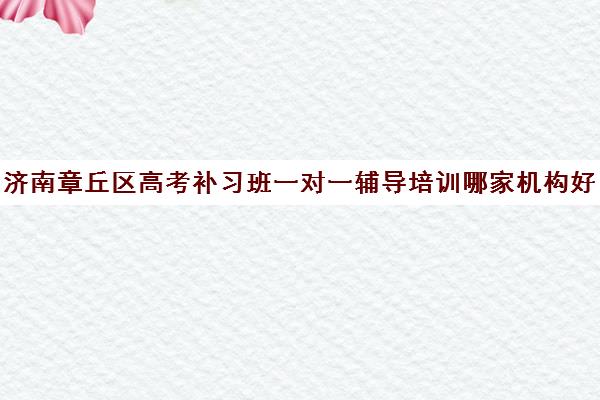 济南章丘区高考补习班一对一辅导培训哪家机构好